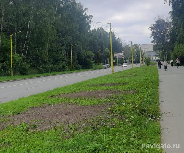 Подрядная организация поменяет грунт на газоне улицы Ильича