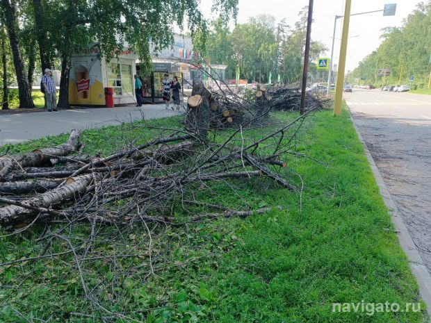 В Советском районе появятся новые озелененные пространства