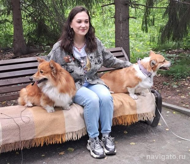 Рекордную сумму собрали для собак из приюта в Академгородке