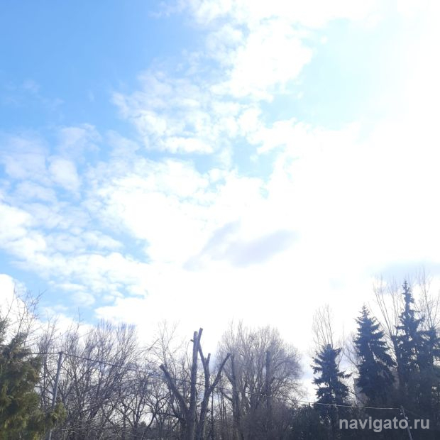 Синоптики рассказали о погоде на август в Новосибирске