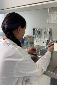 В Академгородке создали тесты для диагностики коклюша