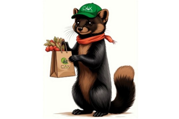 На мусоровозах в Новосибирске появится изображение соболя