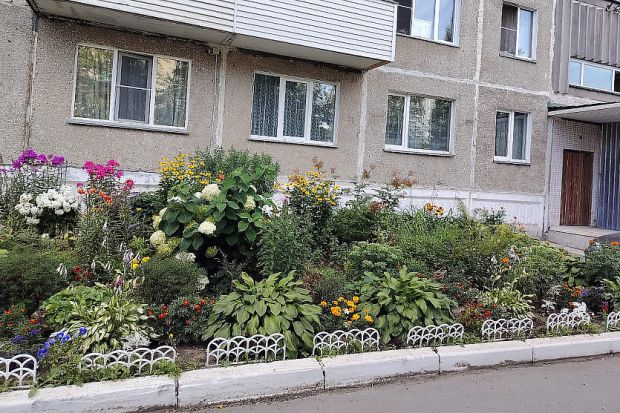 Двор из Советского района вошел в финал конкурса «Лучшая клумба Новосибирска»