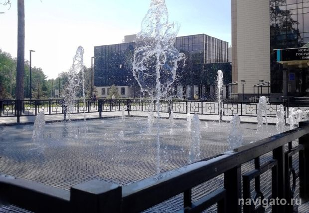 В НГУ подвели итоги приёмной кампании