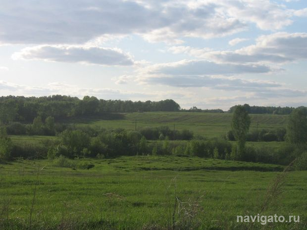 За неделю в лесах региона потерялись семь человек