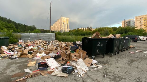 В Новосибирской области обнаружили 57 нелегальных свалок