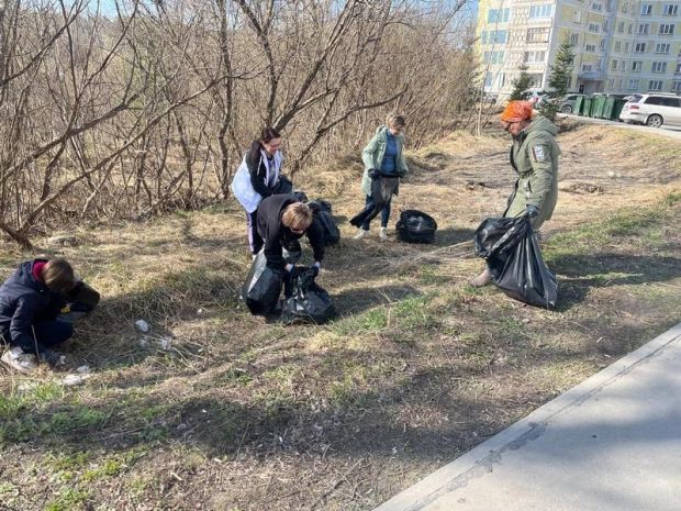 Названа дата общегородского осеннего субботника