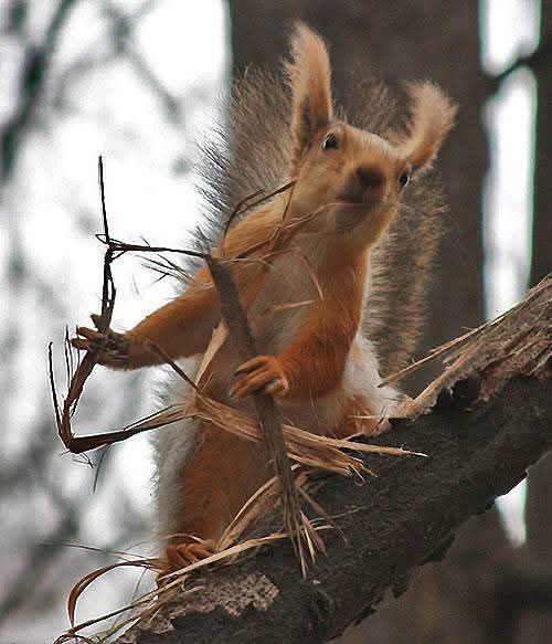 Опубликованы задачи Всероссийского математического марафона – 2025