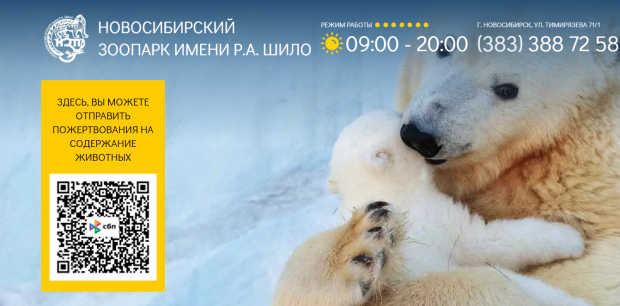 Мошенники активизировались после пожара в Новосибирском зоопарке