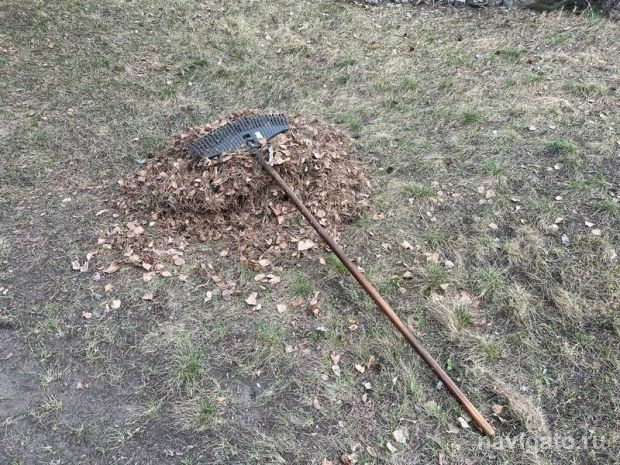 Общегородской субботник отменили