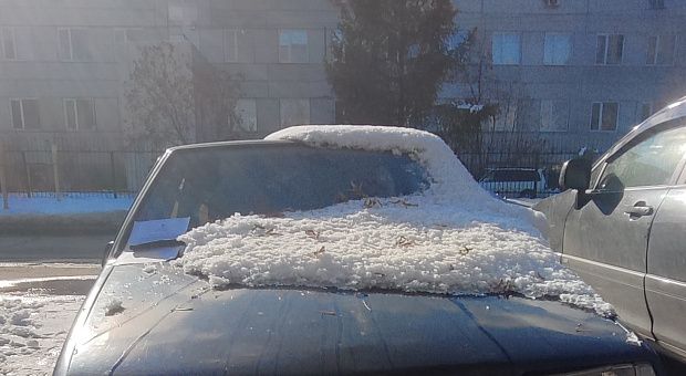 РАТИ ищет владельца брошенной в Щ Лады