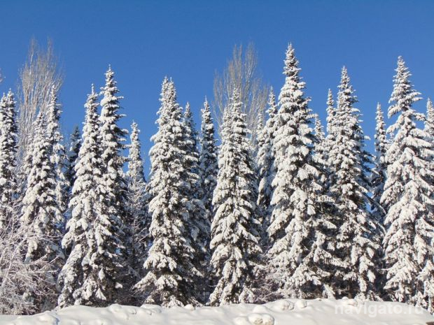 Неблагоприятную погоду прогнозируют в Новосибирской области