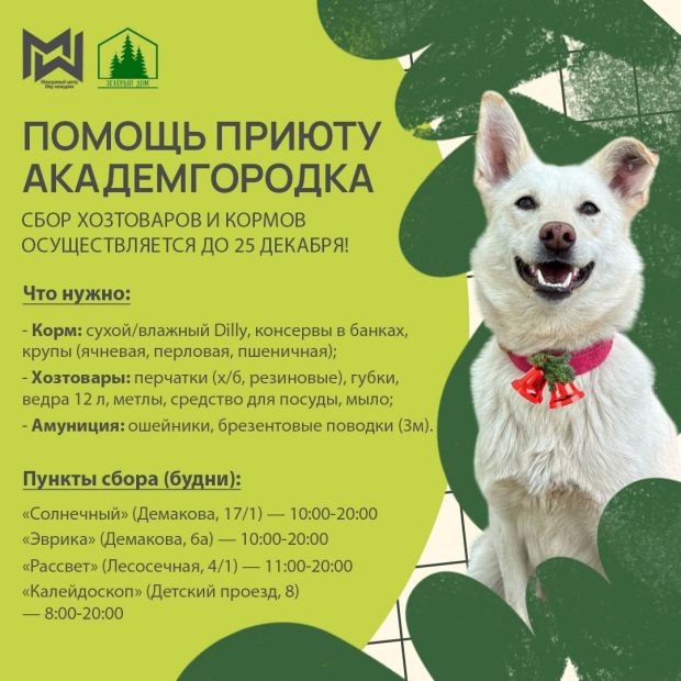 Приюту для собак в Академгородке собирают корма и хозтовары