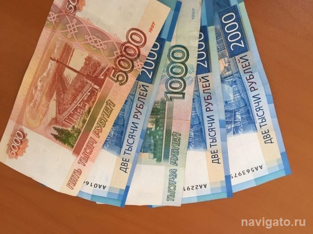 Почти 30 миллионов рублей украли при реализации программы «Пушкинская карта»