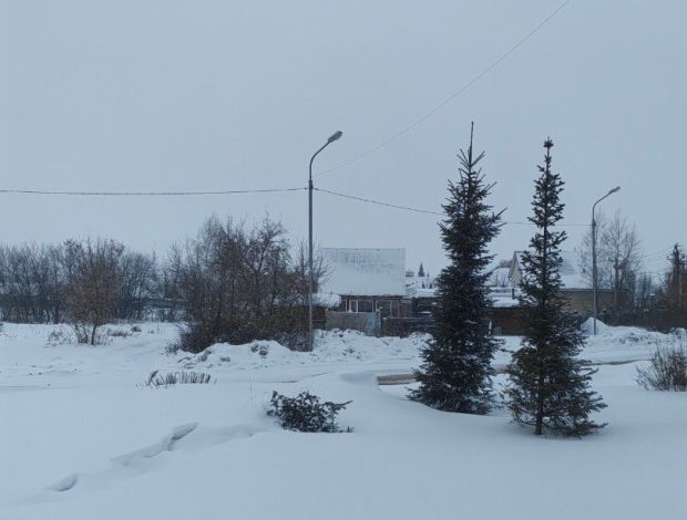 Вандал спилил уникальную треугольную ёлку