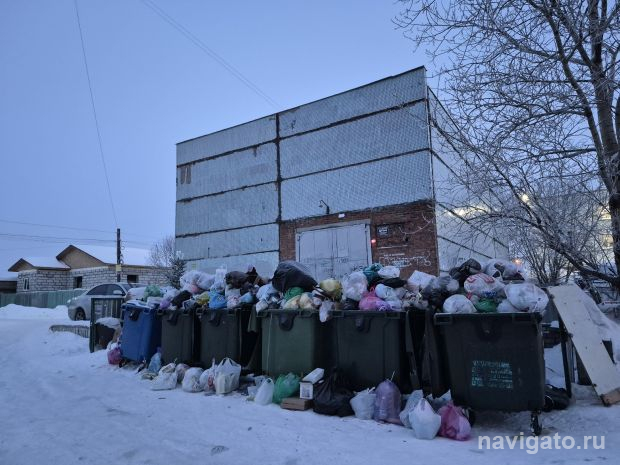 Мусорный коллапс возник из-за морозов