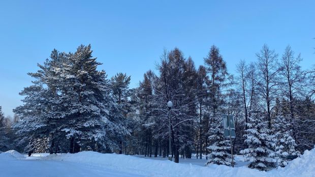 В Новосибирске усиливаются морозы