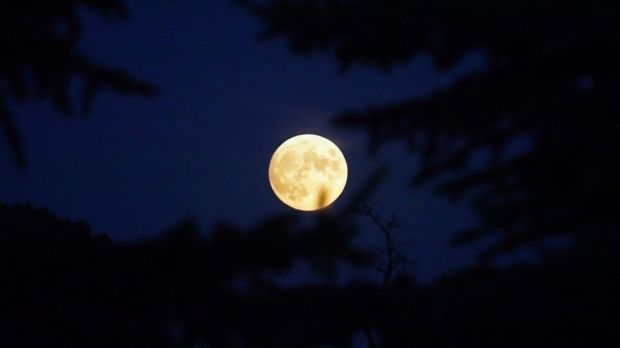 «Роскосмос» объявил о наборе добровольцев в космонавты