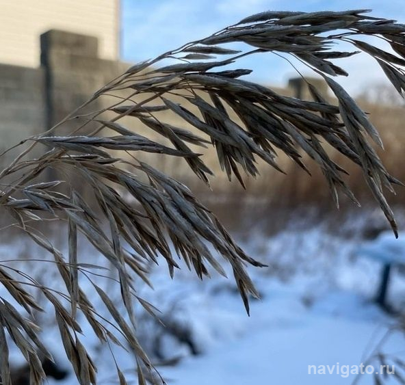 В Новосибирск впервые в этом году придут плюсовые температуры