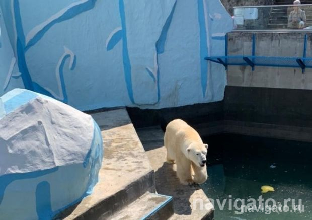 Собственная Азия и Африка появятся в Новосибирске