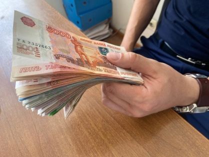 Пять лет колонии строгого режима получил сотрудник Россельхознадзора НСО