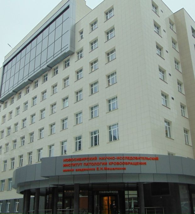 Врачи Центра Мешалкина учатся сохранять донорские сердца