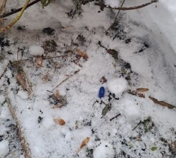 Акция по борьбе с наркотиками стартует в регионе