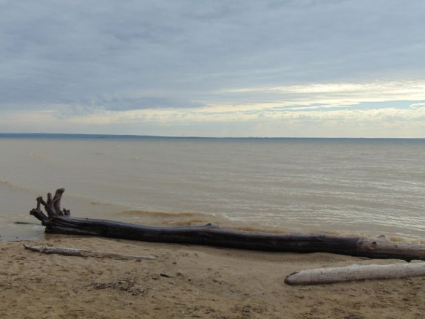 Новосибирская ГЭС сбросит воду, чтобы пропустить древесину