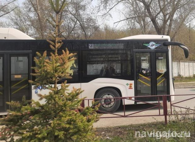 В ДТП с автобусом пострадали два человека