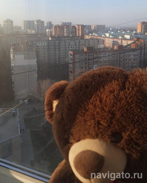 Трехлетний ребенок выпал из окна многоэтажки в Новосибирске