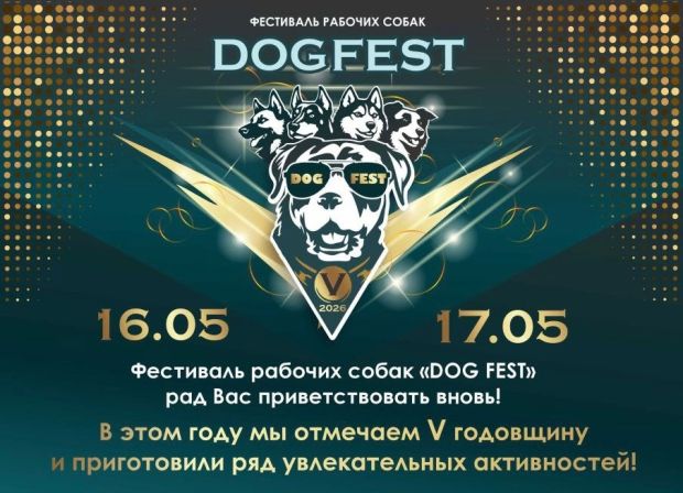 На ОбьГЭС пройдет фестиваль рабочих собак «DOG FEST»