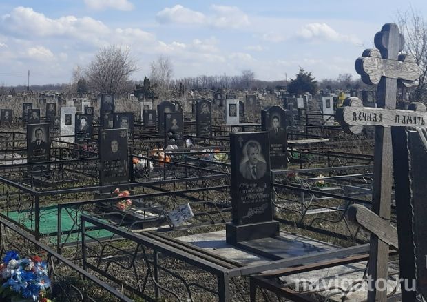 Городские кладбища обработают от клещей