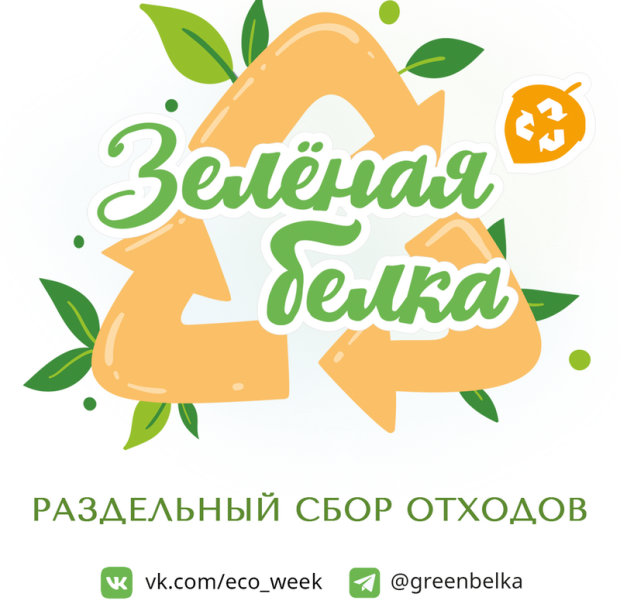 Волонтёры акции «Зелёная белка» соберут вторсырьё