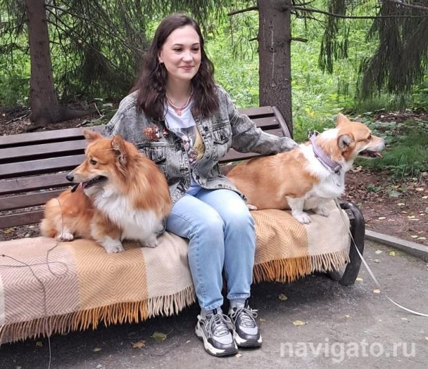 В Академгородке готовятся к благотворительной фотосессии в помощь собакам