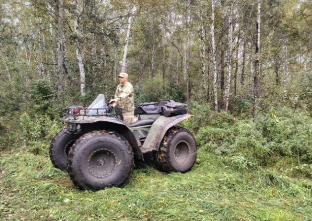 В регионе усиливают патрулирование лесов из-за активности медведей