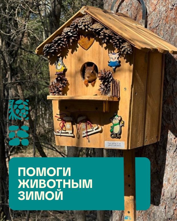 Акция «Помоги животным зимой» стартовала в Новосибирском зоопарке