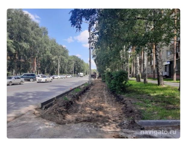 160 акаций и 62 березы высадили в Советском районе за месяц