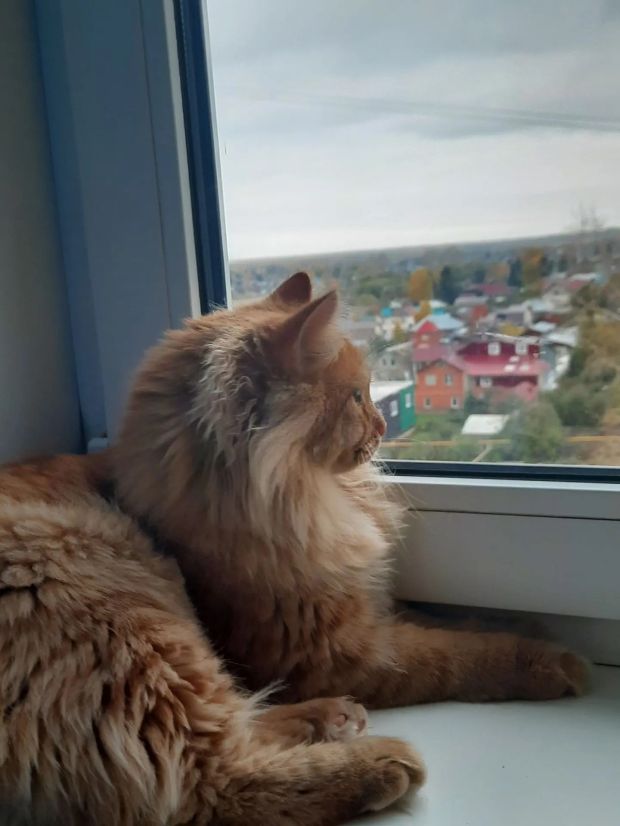 В ближайшие дни в Новосибирске ожидаются дожди и мокрый снег