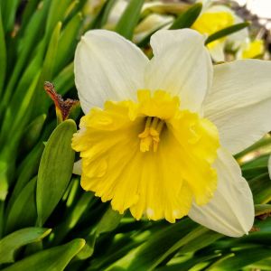 Автор фото Валентина Черных