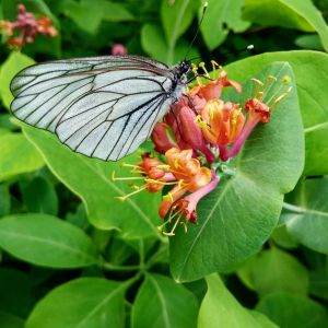 Фото Натальи Нуртдиновой