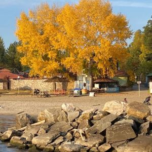 Фото М.Мезиной