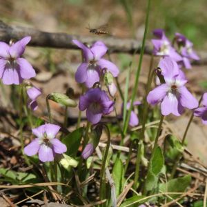 Фото Дмитрия Кречетова